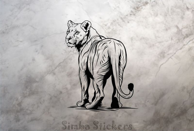 Lioness glancing backwards, outline art, grpgy1