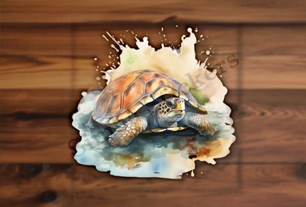 Tortoise, watercolour