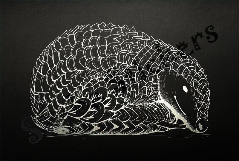 Pangolin sleeping, eyes open, outline art