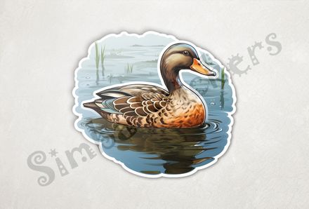 Male duck floating in a pond