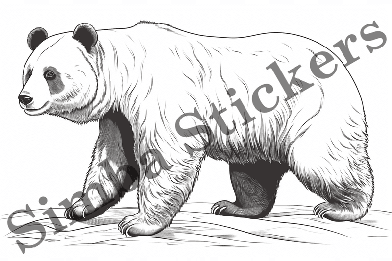 Colouring pages, bundle of pandas, 25 images, ldtg6c