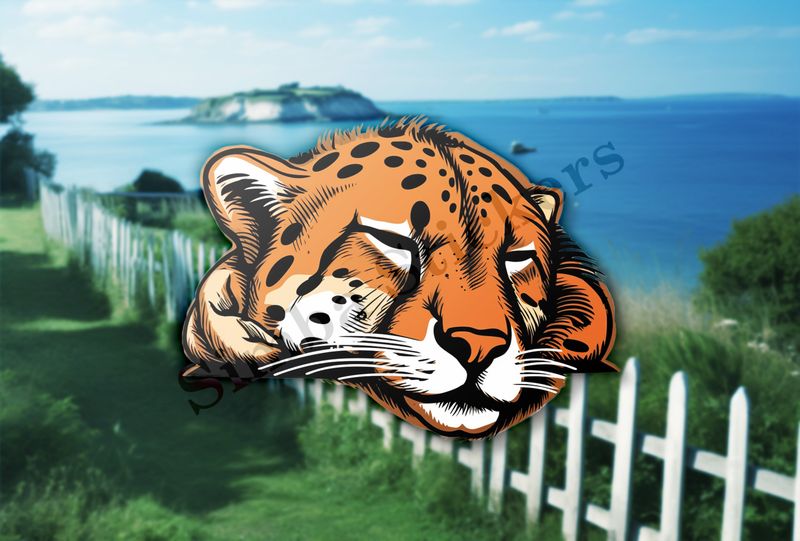 Cheetah sleeping, head, gv4jqr