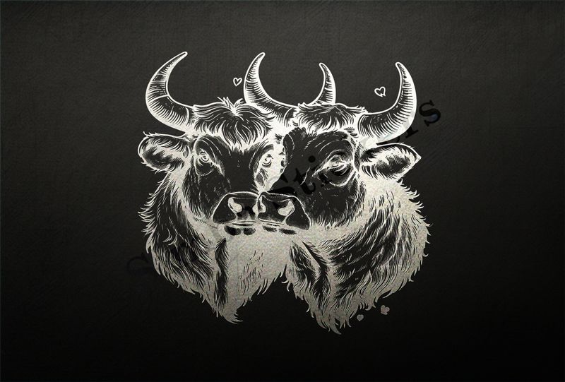 Cattle,  cheek-to-cheek, horns locked, outline art