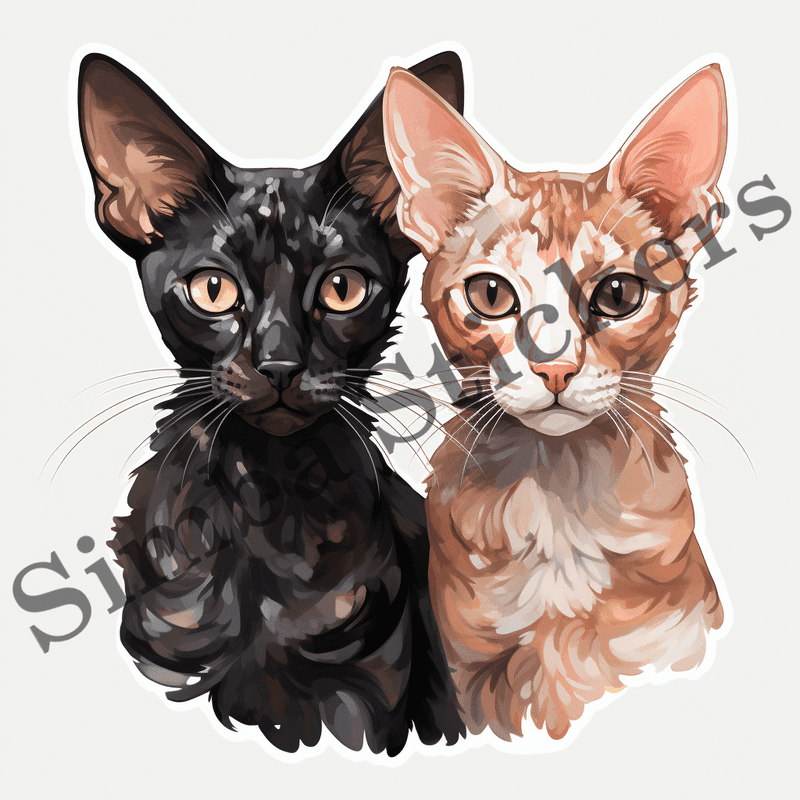 Oriental Shorthair cats, image set, 10 images