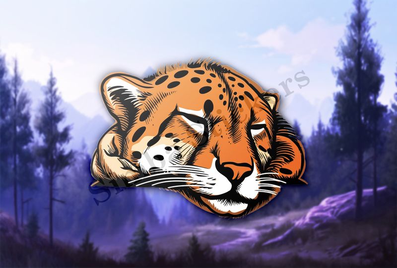 Cheetah sleeping, head, gv4jqr