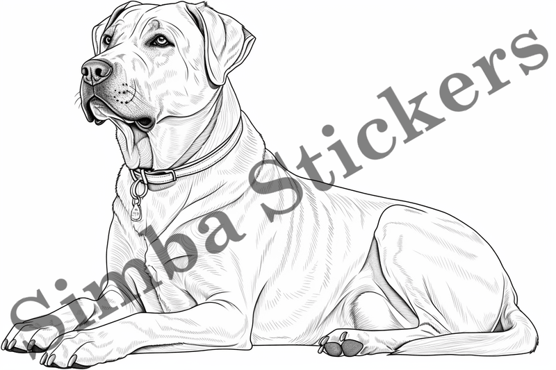 Colouring pages, Bundle of dogs, 25 images