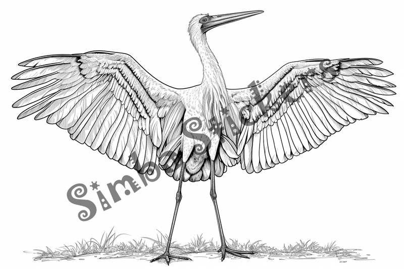 Colouring pages, bundle of marabou storks, 25 images