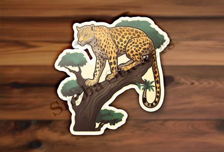 Leopard  in a tree