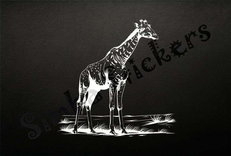 Giraffe standing tall in shrubs, outline art