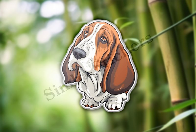 Basset Hound dog