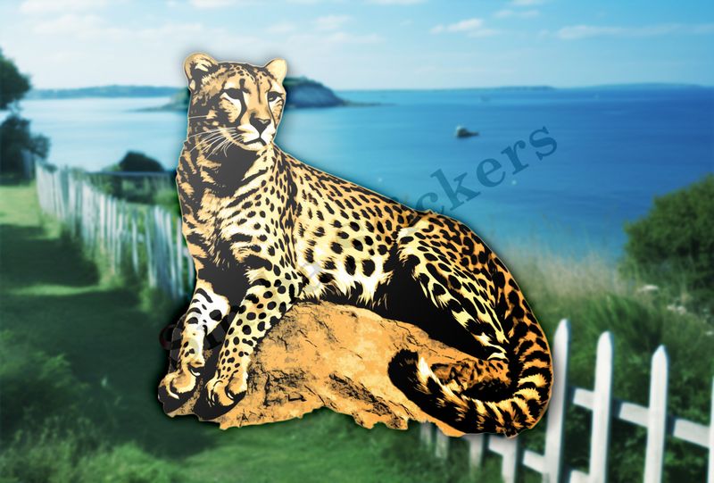 Cheetah resting on a rock