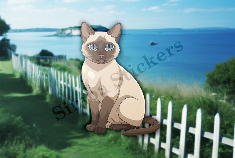 Siamese cat   