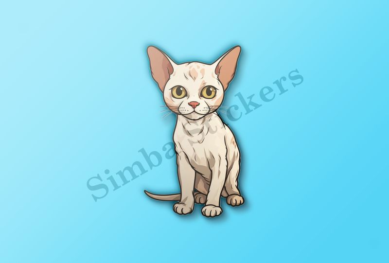 Devon Rex cat sitting