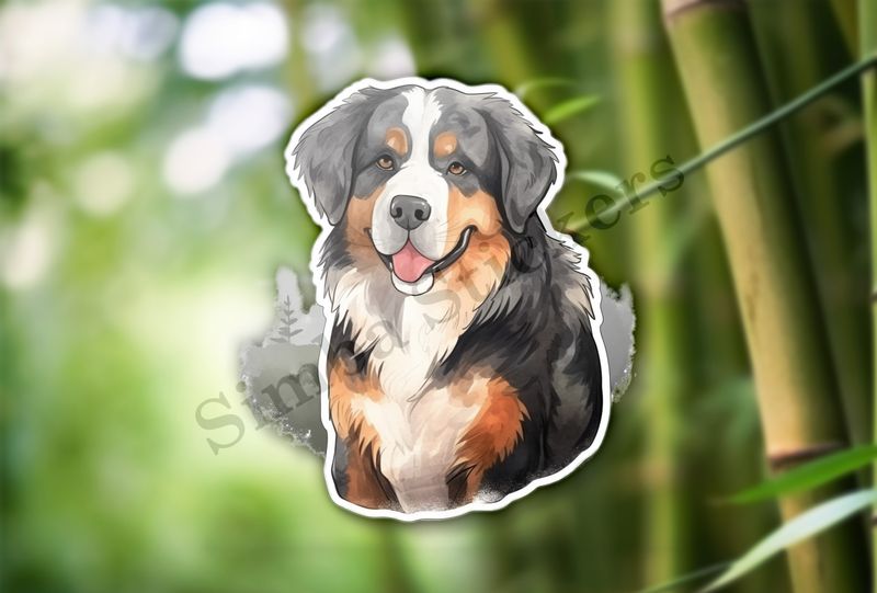 Bernase Mountain dog, watercolour