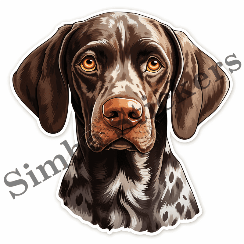 German Shorthaired Pointer dogs looking sorry, image set, 10 images