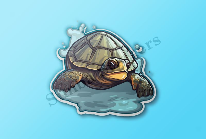 Tortoise splashing water