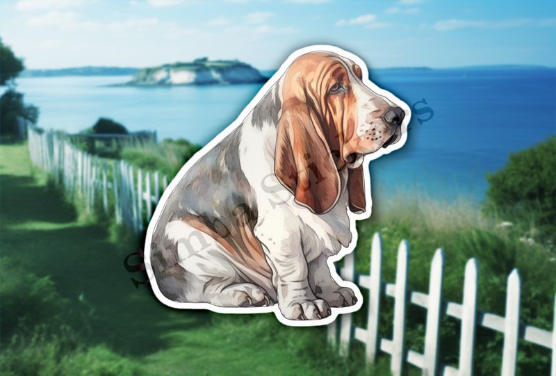 Basset Hound dog, watercolour