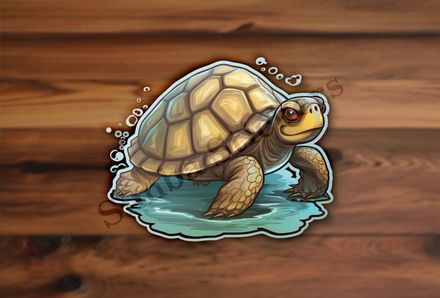 Tortoise walking and splashing