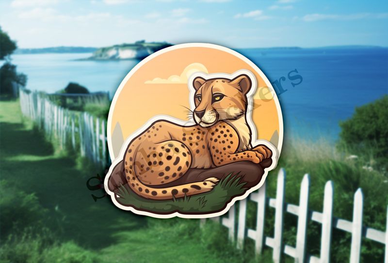 Young cheetah on a rock