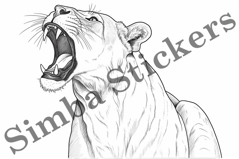 Colouring pages, Bundle of lions, 25 images