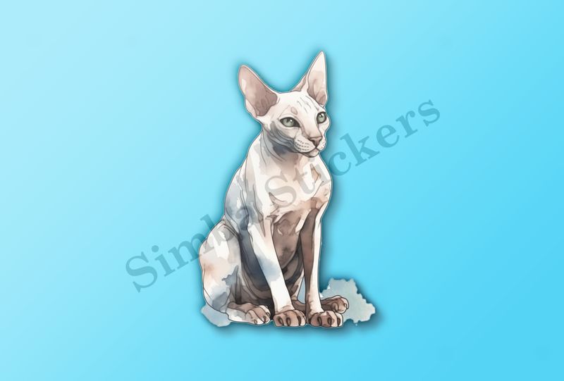 Sphynx cat sitting, watercolour