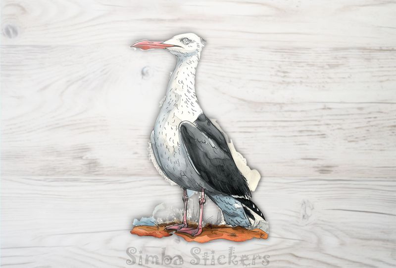Funny-looking seagull standing on ground, watercolour, b1efmn