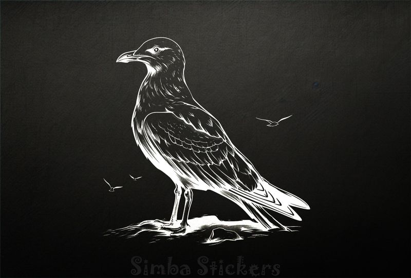 Seagull by the beach, outline art, pmym1f