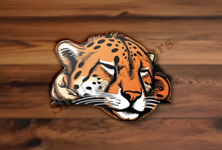 Cheetah sleeping, head, gv4jqr