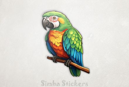 Greenish parrot with orangey chest and black beak, epiwsi
