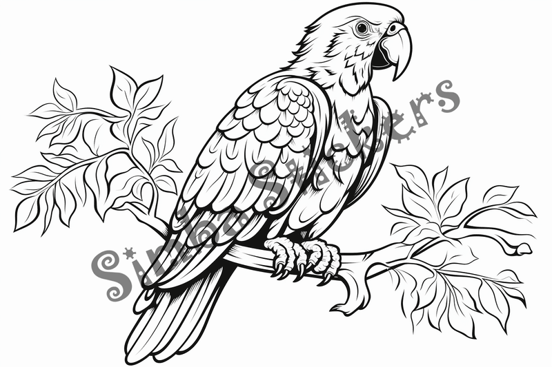 Colouring pages, bundle of parrots 2, 25 images