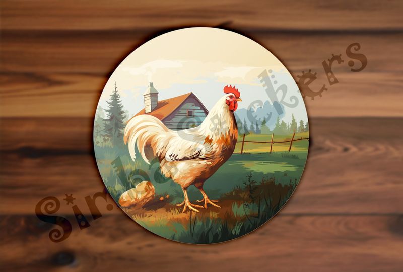 White chicken, free-range, with farmhouse in background