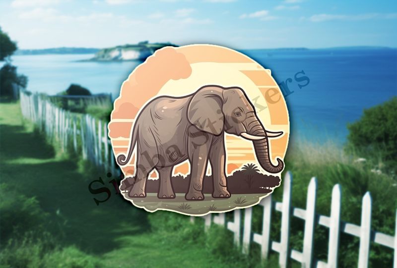 African elephant at sunrise