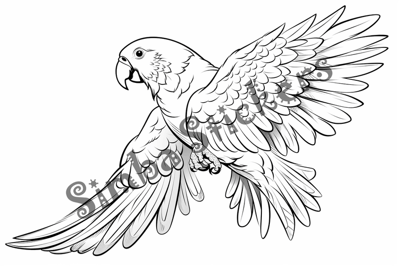 Colouring pages, bundle of parrots 2, 25 images