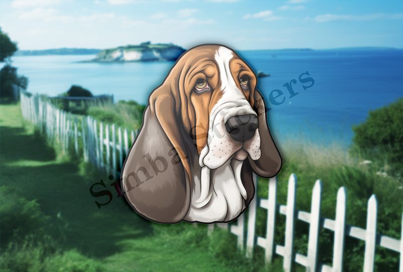 Basset Hound dog