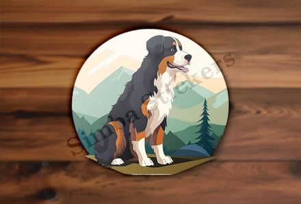 Bernase Mountain dog