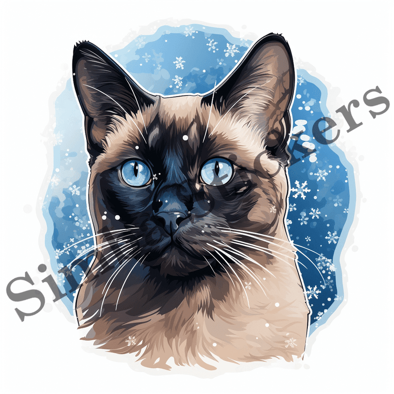 Tonkinese cats in snow, image set, 10 images