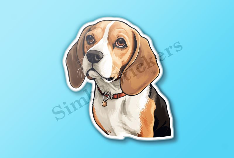 Beagle dog with collar