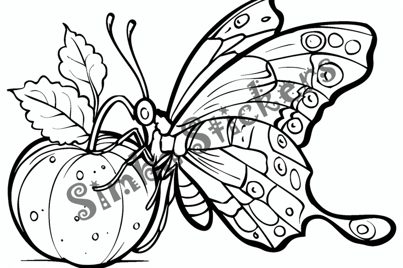 Colouring pages, bundle of butterflies over food or flowers, 25 images