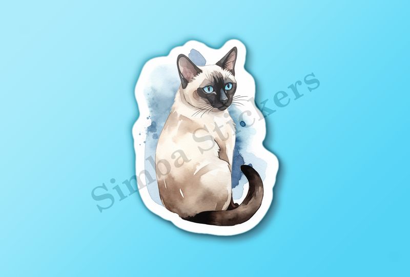 Siamese cat sitting, watercolour