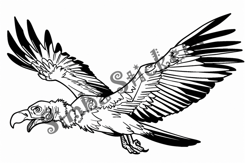Colouring pages, bundle of  vultures flying, 10 images, c3nz5p