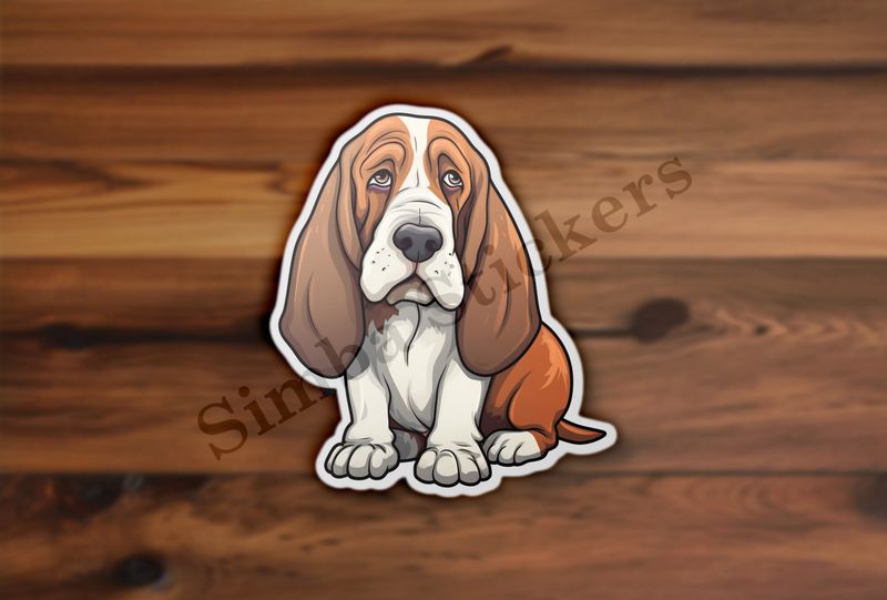 Basset Hound dog