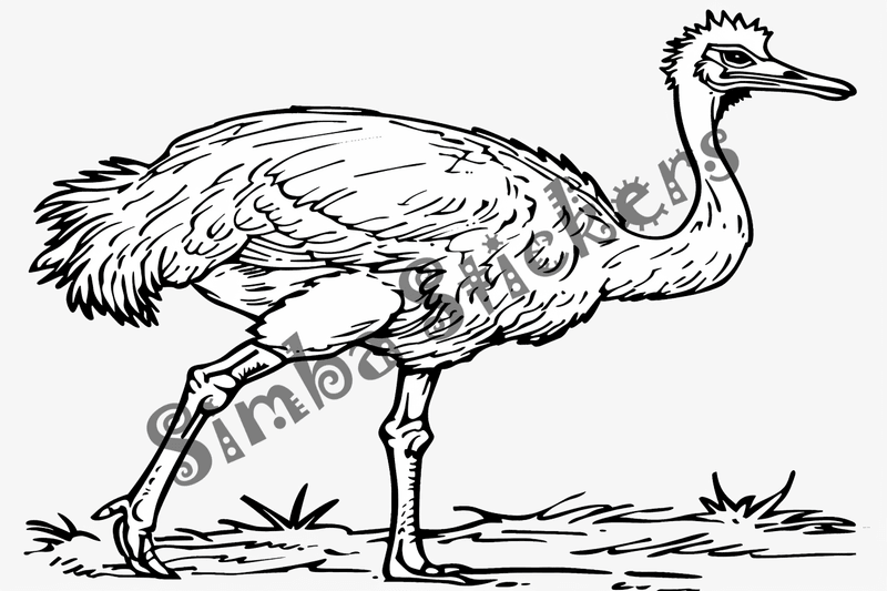 Colouring pages, bundle of ostriches, 50 images