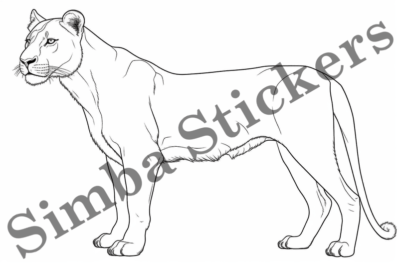 Colouring pages, Bundle of lions, 25 images