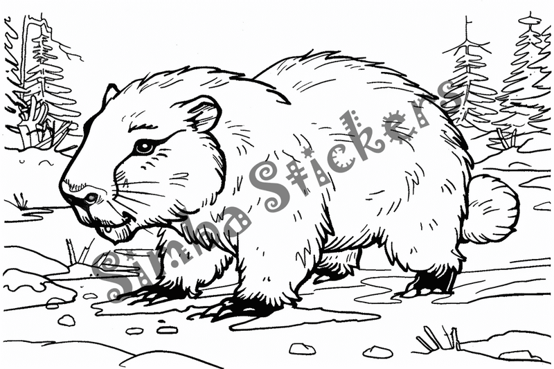 Colouring pages, bundle of capybaras, 50 images, pack 2