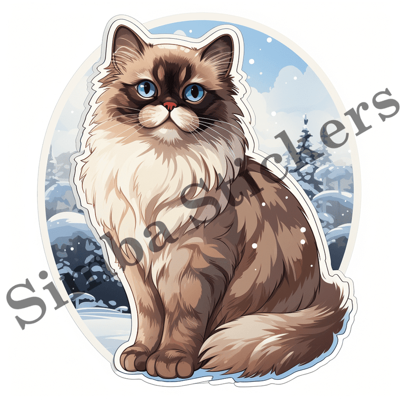 Himalayan cats, image set, 10 images