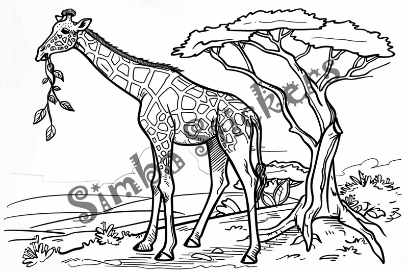 Colouring pages, bundle of giraffes towering above trees and shrubs, 10 images