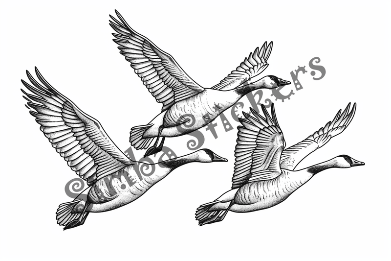 Colouring pages, bundle of geese flying, 10 images