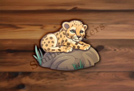 Baby cheetah on a rock