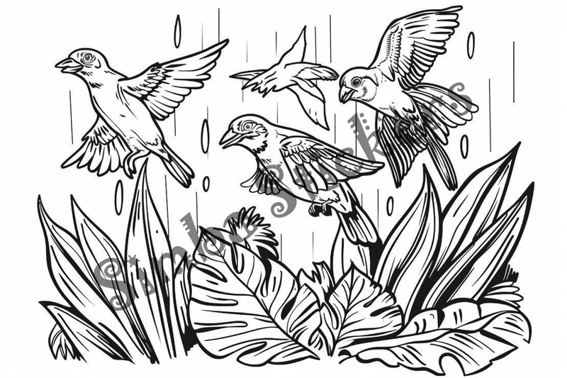 Colouring pages, bundle of Equatorial Rainforest landscape, 10 images