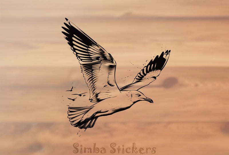Seagull in flight, outline art, lf8vfb